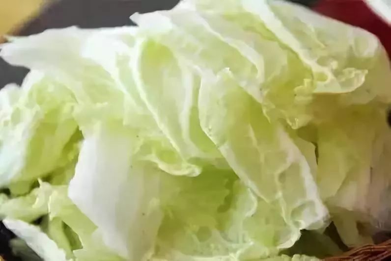 紫吊兰的养殖方法和注意事项