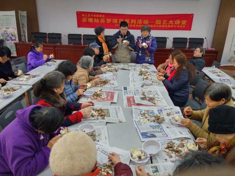 月季种子催芽方法：让您的花园焕发新生