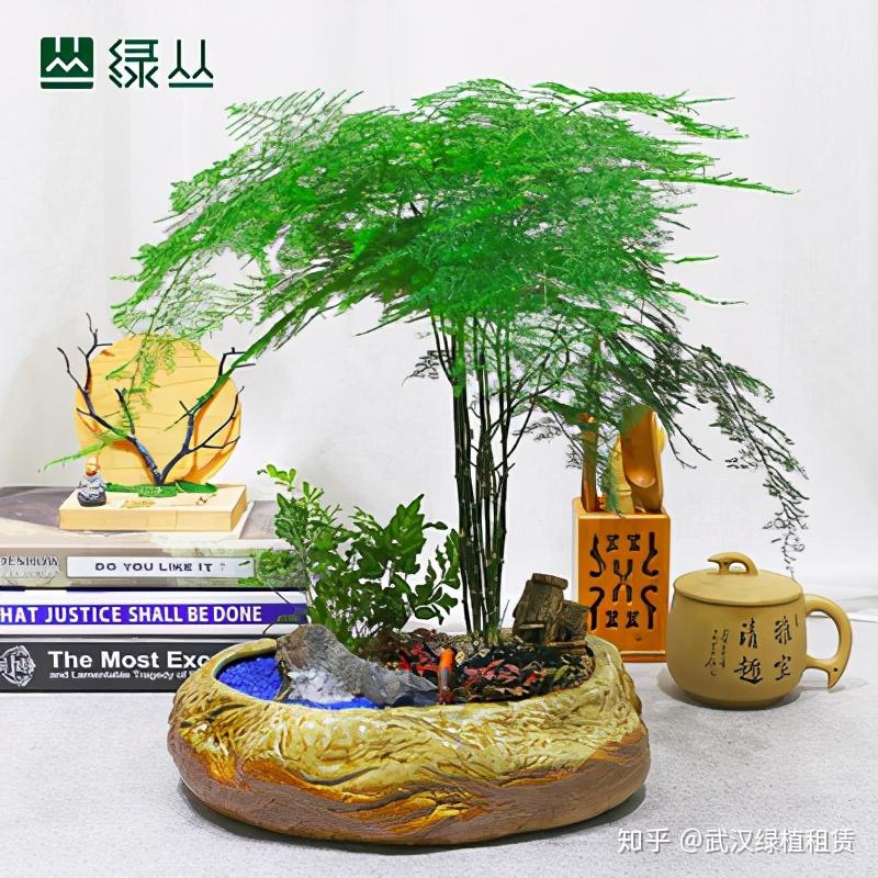 鲶鱼的养殖方法和技术