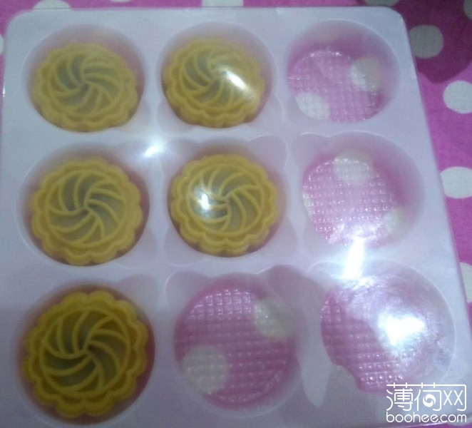 盆栽连翘：养护指南与技巧