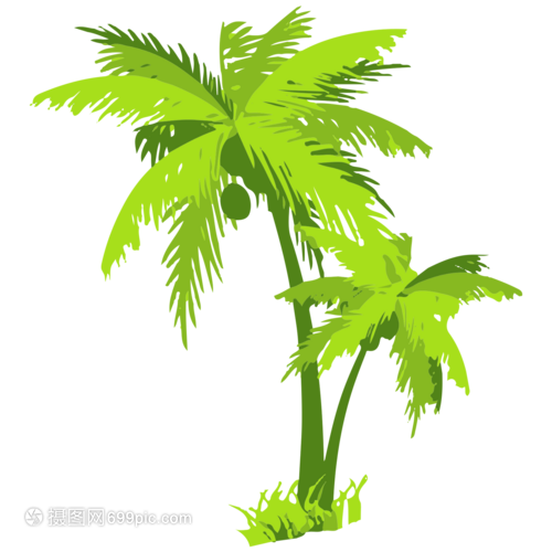 蚕豆的种植方法