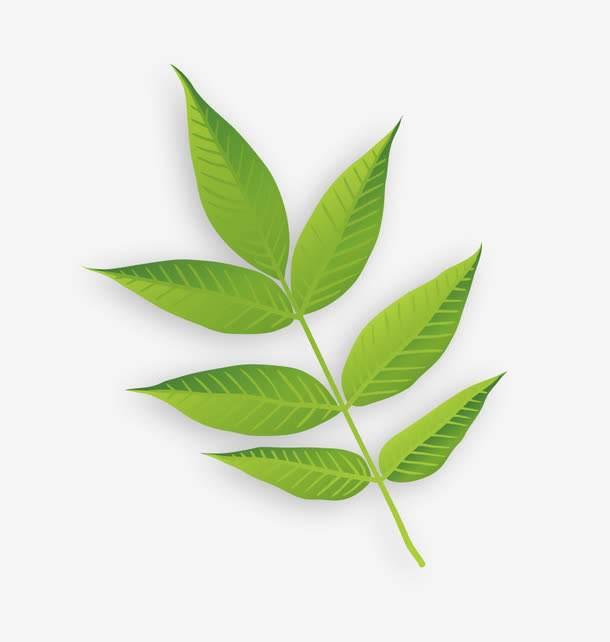 养猪方法：科学养殖提升效益