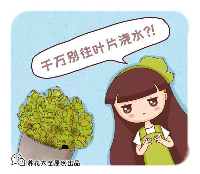 樱桃冬季能扦插吗？揭秘樱桃扦插的最佳时机