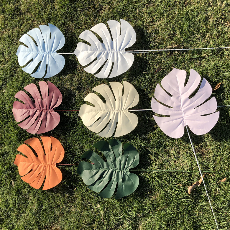 熊童子什么时候扦插？掌握最佳时机，繁殖无忧