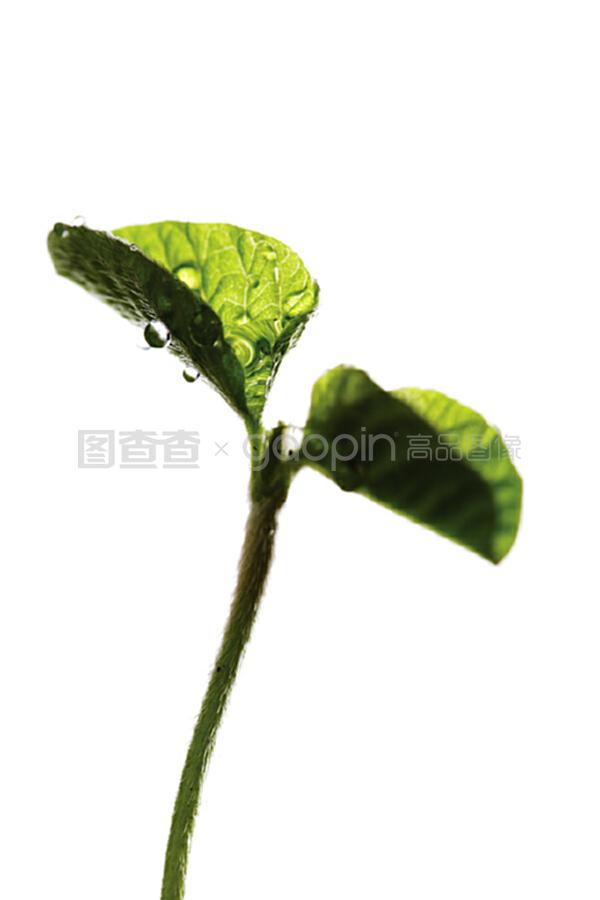 各种猪舍的建造方法