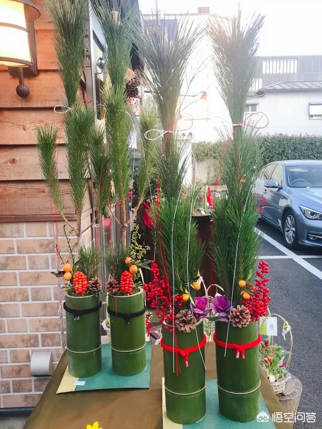 牡丹花种植方法：让你的花园绽放国色天香