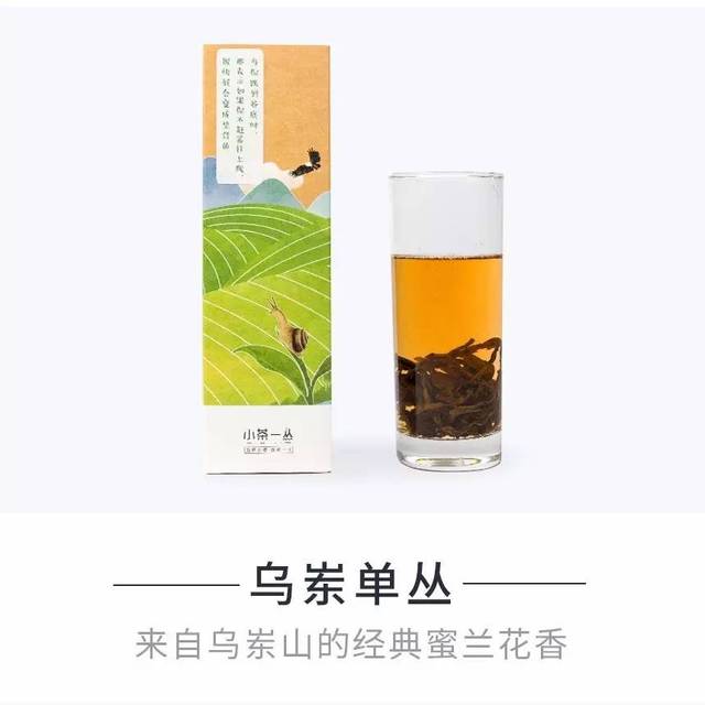 郁金香养护方法