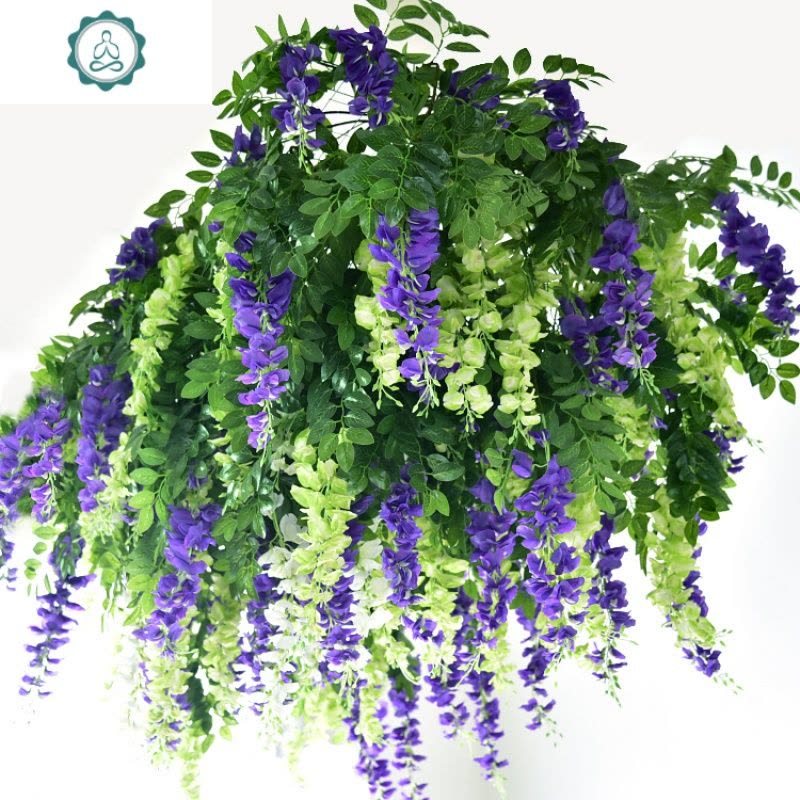 盆栽葱施肥：让您的绿植茁壮成长