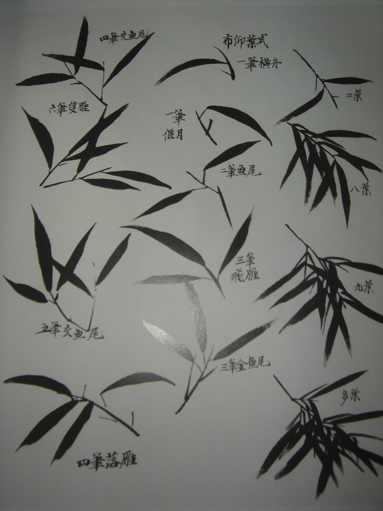 乙女心扦插：掌握技巧，轻松繁殖多肉植物