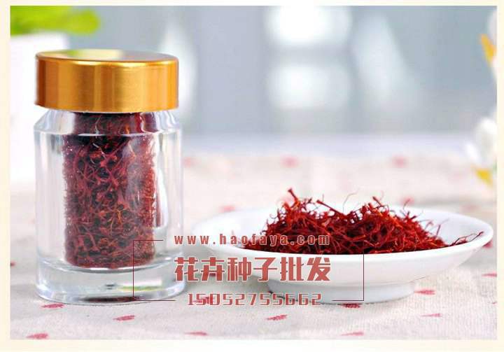 甘蔗种植方法：掌握关键技术，实现高产高效