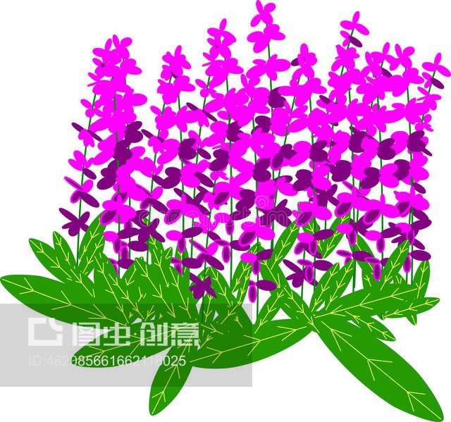 ### 家庭蔬菜种植方法：打造绿色健康生活空间