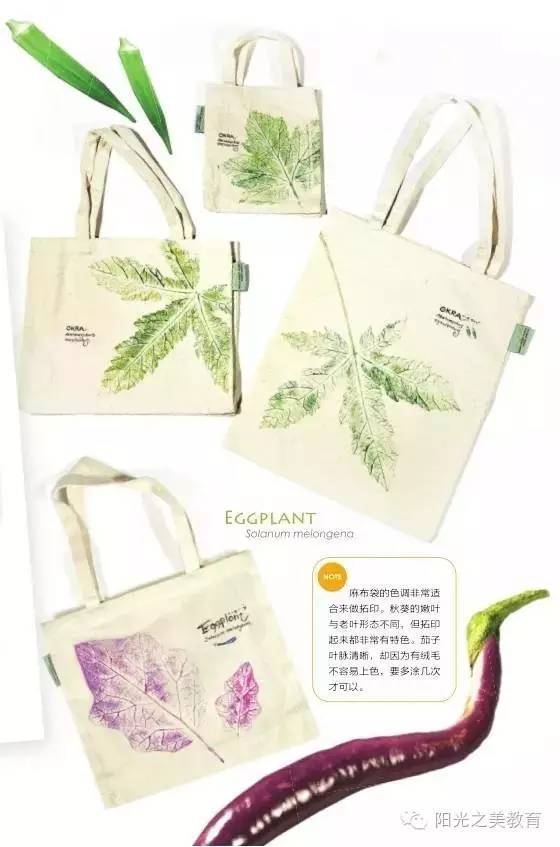 凤仙花的播种方法：轻松掌握种植技巧