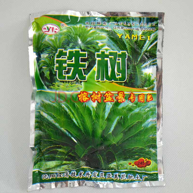 蒲公英的盆栽：养殖技巧与注意事项