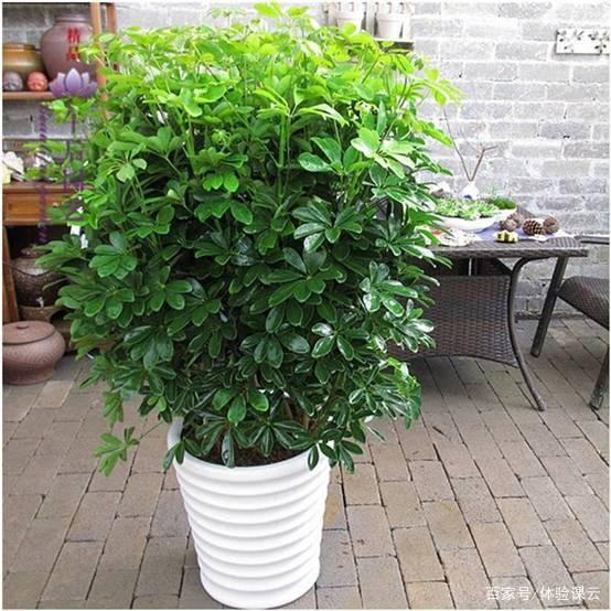 土壤保方法：让土地焕发生机的秘密