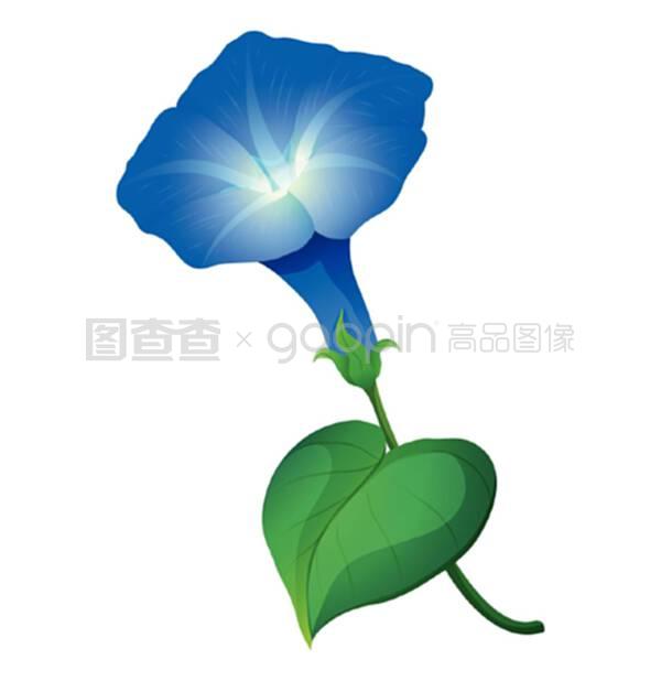 红萝卜种植方法：掌握要领，收获鲜美红萝卜