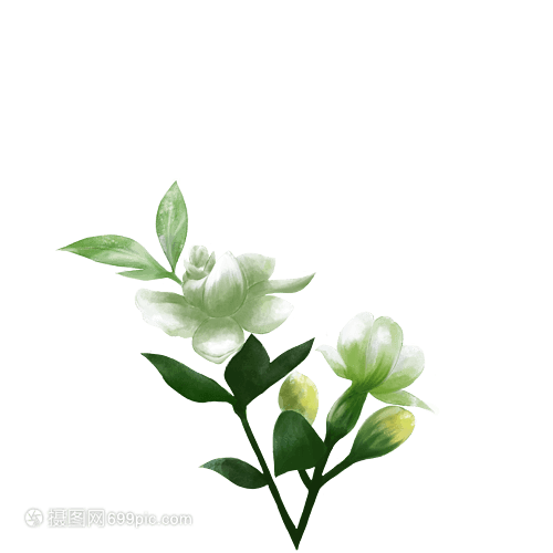 含羞草种植方法：轻松培养出害羞的绿色小精灵