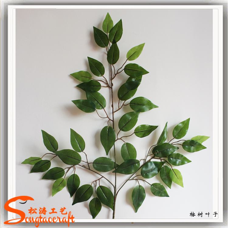 车厘子怎么种植方法：掌握关键技术，实现丰收梦