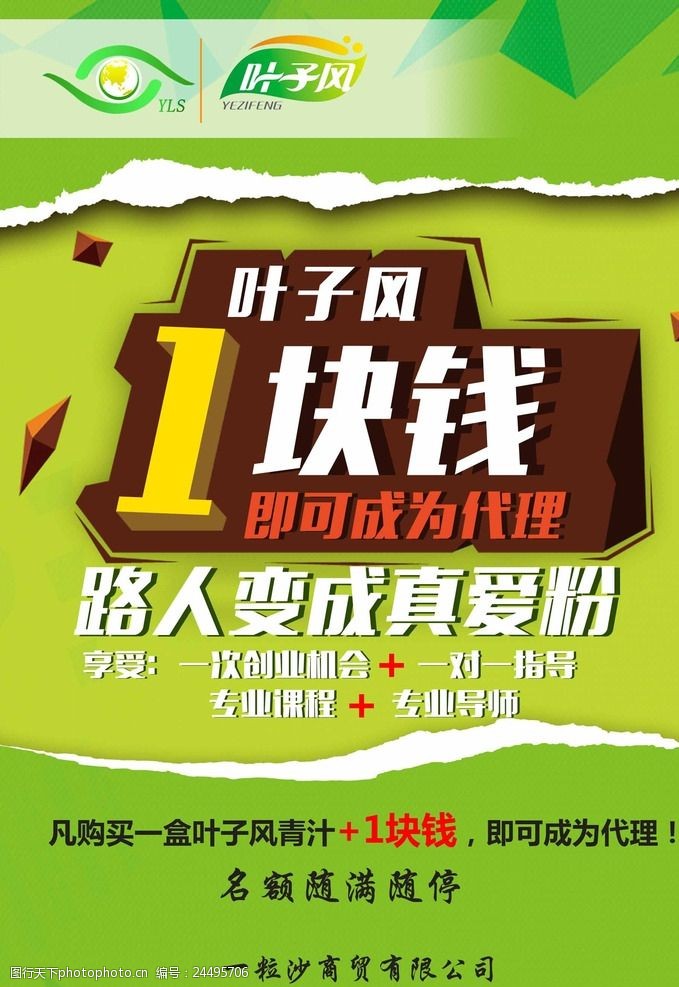 盆栽叶子黄了怎么办：找出原因与解决方法