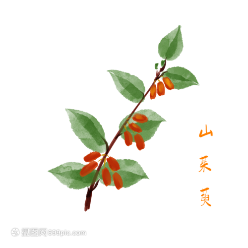 香菇种植方法：掌握关键步骤，实现丰收