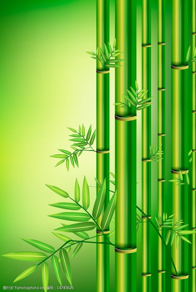 # 盆栽种子怎么种：种植指南与技巧
