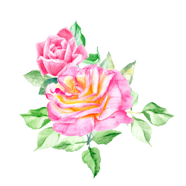 冬天樱花扦插技术：打破季节限制，成功繁育樱花树