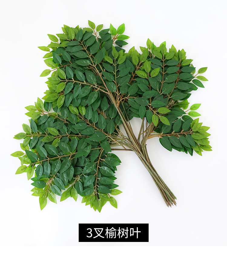 秋天适合什么花扦插 秋天适合什么花扦插