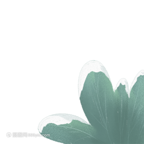 文竹的扦插视频：详解繁殖技巧与养护要点