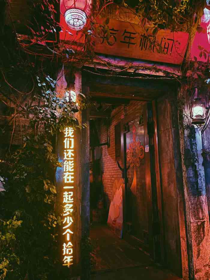 多肉养殖方法：掌握秘诀，养出健康多肉