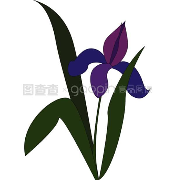 牡丹盆栽浇水：掌握正确方法，让你的牡丹花开璀璨