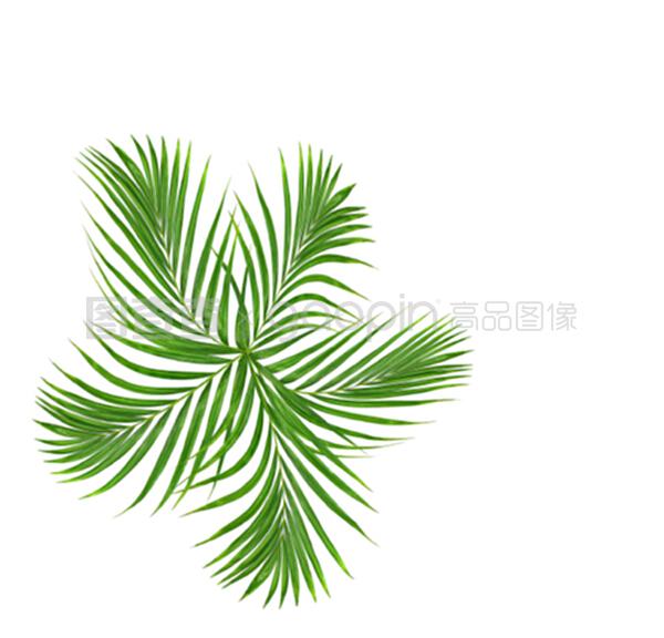 一帆风顺的种植方法：打造绿色家园的秘诀