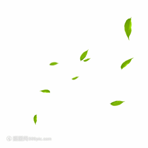 绿萝扦插温度：掌握最佳时机，提升成活率