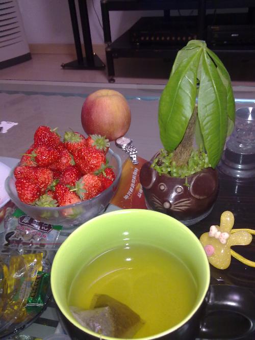 如何发黄豆芽方法：家庭种植指南