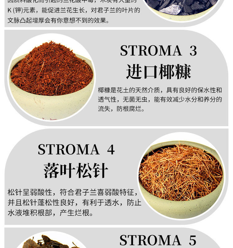 杜鹃花的养殖方法技巧