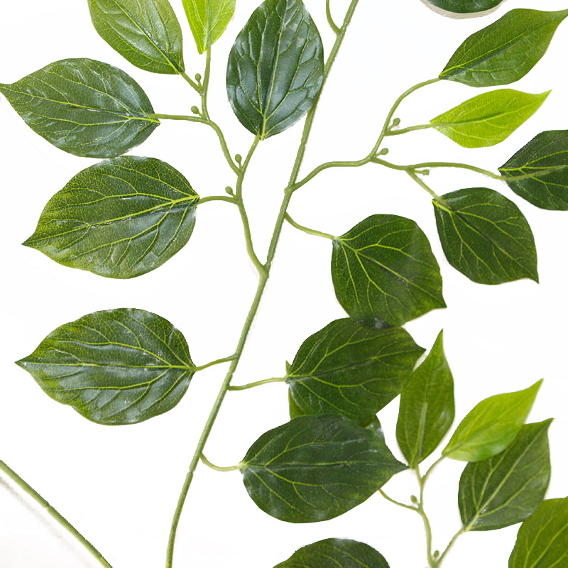 盆栽石蒜：养护指南与种植技巧