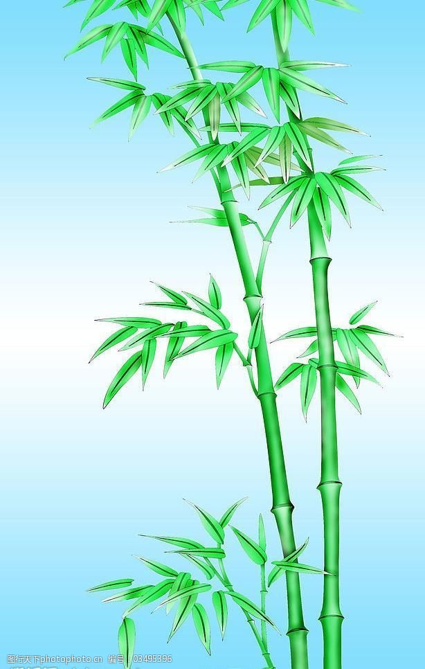 可以扦插的蔬菜：探索家庭菜园的新途径