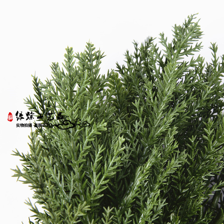 火龙果支架制作方法：提升种植效率的关键步骤
