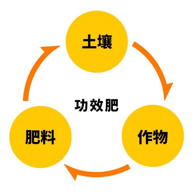 盆栽梅花的养殖方法