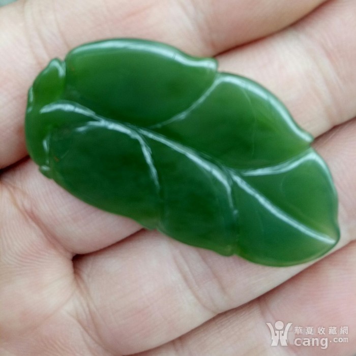 黄豆芽的种植方法：家庭种植新选择