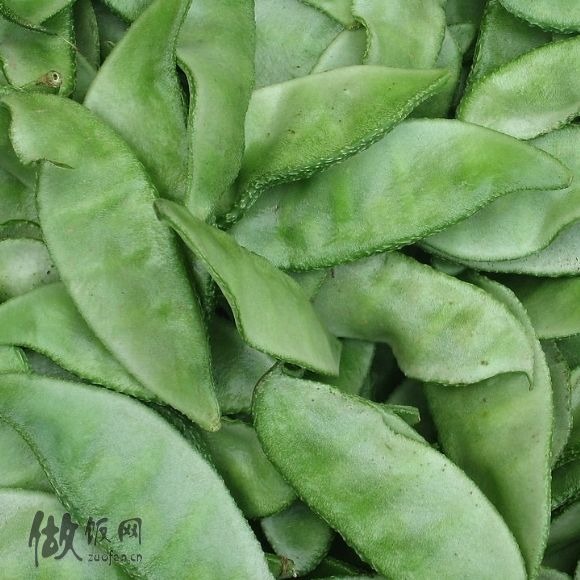 水蛭捕捞方法：高效捕捞技巧全解析