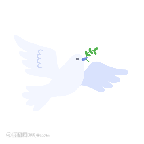 金钻的扦插方法图解：家庭园艺新手的必备指南
