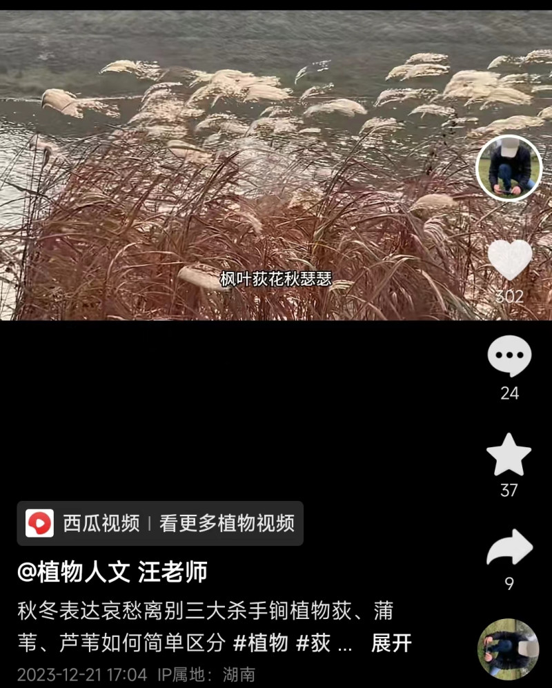 玻璃翠花的养殖方法