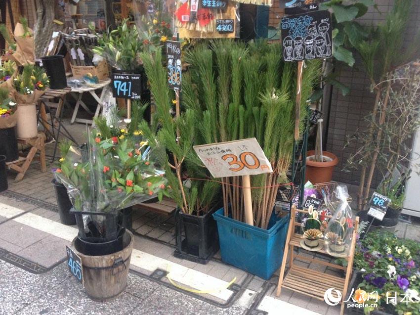 四季碗莲种植方法