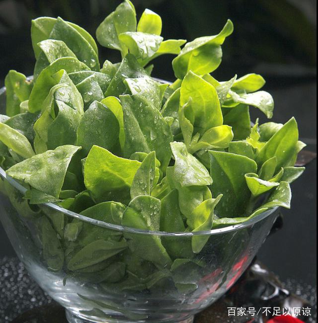 招财树繁殖方法：让您的财运更旺