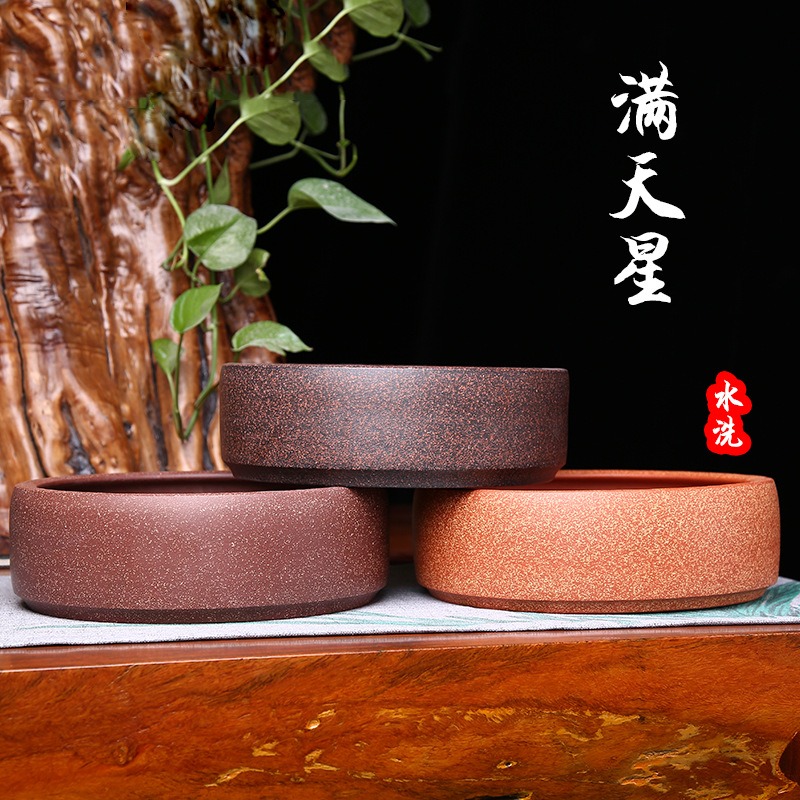 滴水观音秋季管理方法