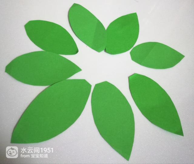 雅乐之舞扦插需要晾——掌握正确方法，提高成活率