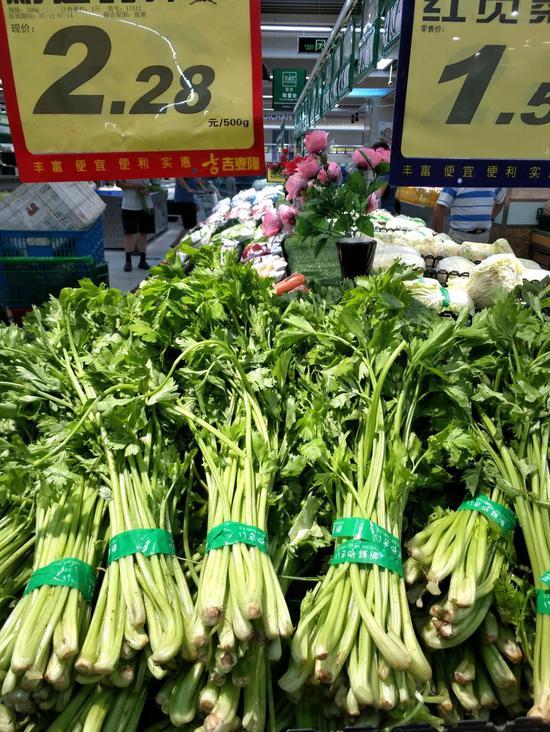 金钱草怎么种植方法