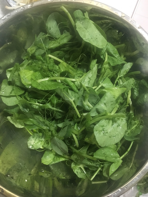 长豆种植时间和方法：掌握要领，丰收在望