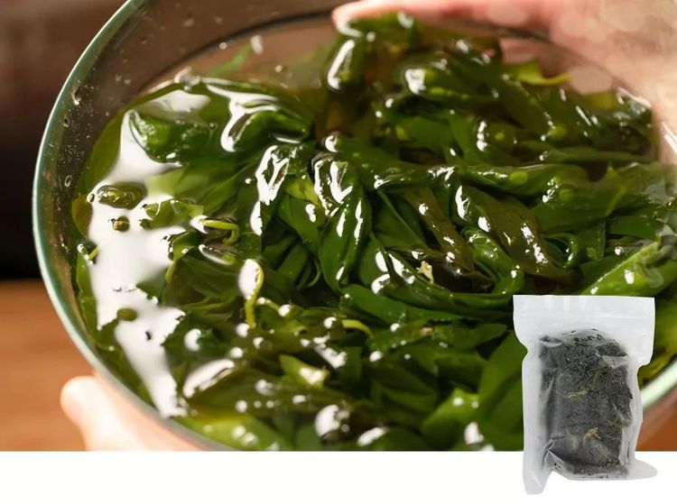 碧玉水培扦插碧玉：掌握技巧，繁殖不再是难题