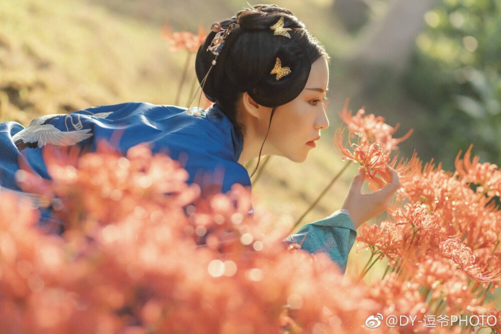 ### 美丽竹芋的养殖方法