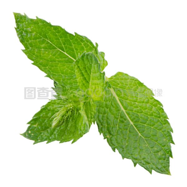 胡萝卜的种植季节和方法：家庭菜园必备指南